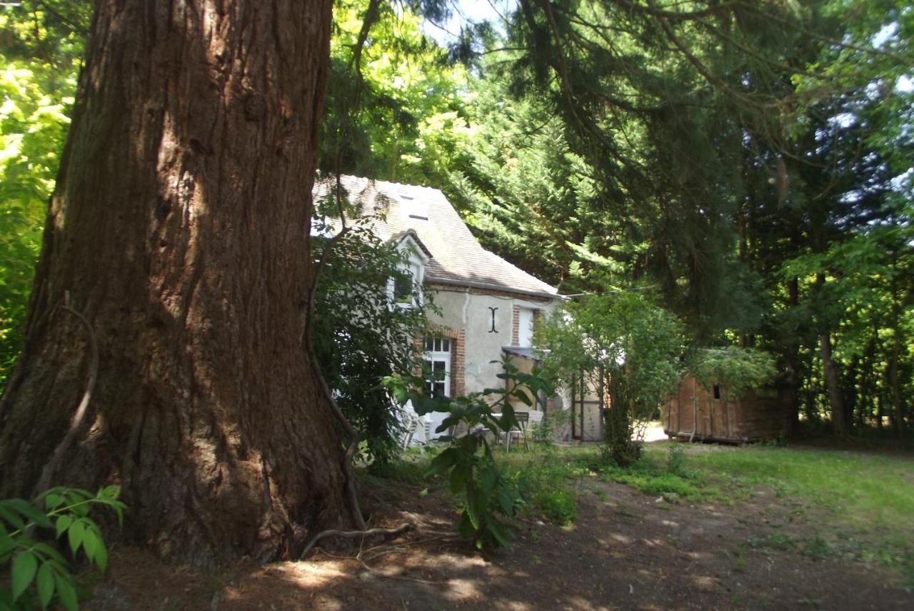 Le Domaine De Jaugy Hotel Gièvres Eksteriør billede